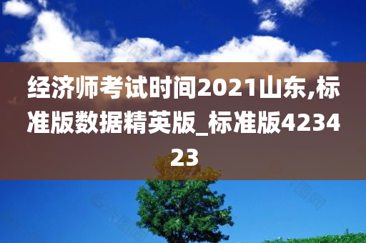 经济师考试时间2021山东,标准版数据精英版_标准版423423