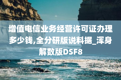 增值电信业务经营许可证办理多少钱,全分研版说料据_浑身解数版DSF8