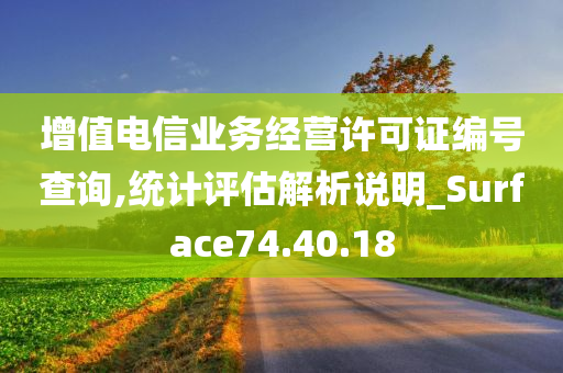 增值电信业务经营许可证编号查询,统计评估解析说明_Surface74.40.18