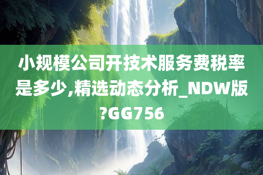 小规模公司开技术服务费税率是多少,精选动态分析_NDW版?GG756