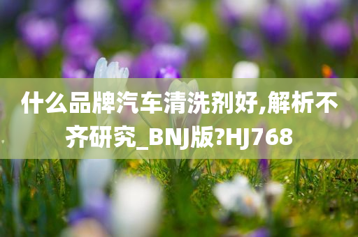 什么品牌汽车清洗剂好,解析不齐研究_BNJ版?HJ768