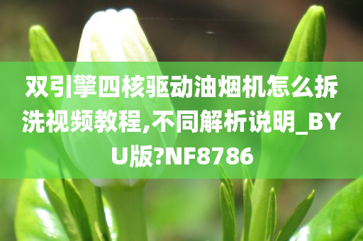 双引擎四核驱动油烟机怎么拆洗视频教程,不同解析说明_BYU版?NF8786