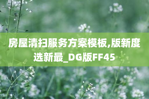 房屋清扫服务方案模板,版新度选新最_DG版FF45