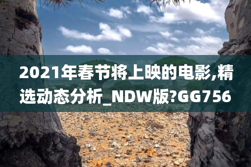 2021年春节将上映的电影,精选动态分析_NDW版?GG756