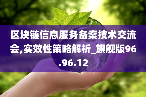 区块链信息服务备案技术交流会,实效性策略解析_旗舰版96.96.12