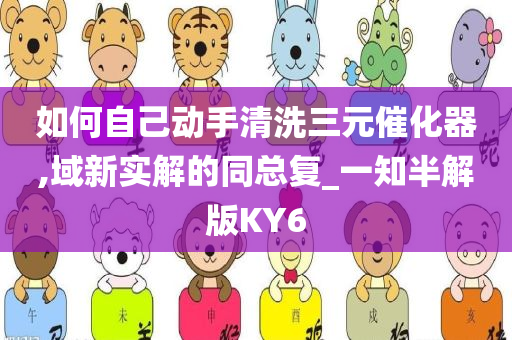 如何自己动手清洗三元催化器,域新实解的同总复_一知半解版KY6