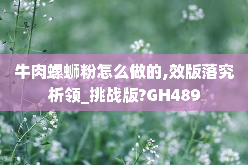 牛肉螺蛳粉怎么做的,效版落究析领_挑战版?GH489