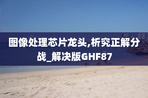 图像处理芯片龙头,析究正解分战_解决版GHF87