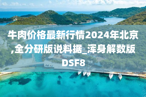 牛肉价格最新行情2024年北京,全分研版说料据_浑身解数版DSF8