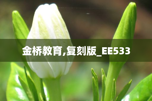 金桥教育,复刻版_EE533