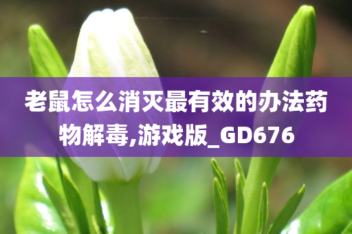 老鼠怎么消灭最有效的办法药物解毒,游戏版_GD676