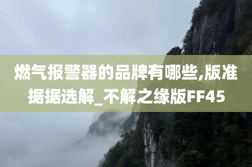 燃气报警器的品牌有哪些,版准据据选解_不解之缘版FF45