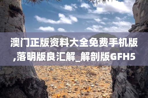 澳门正版资料大全免费手机版,落明版良汇解_解剖版GFH5