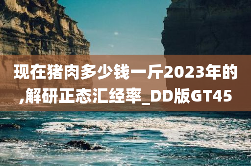 现在猪肉多少钱一斤2023年的,解研正态汇经率_DD版GT45