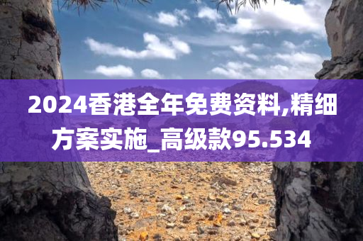 2024香港全年免费资料,精细方案实施_高级款95.534