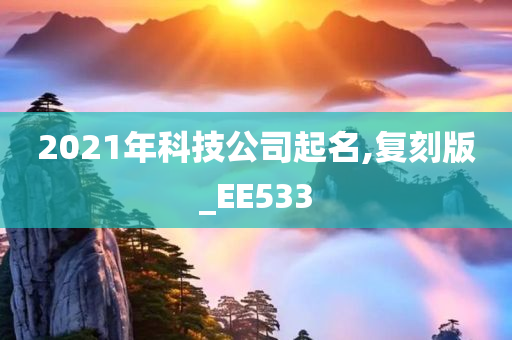 2021年科技公司起名,复刻版_EE533