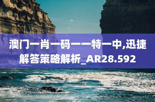 澳门一肖一码一一特一中,迅捷解答策略解析_AR28.592