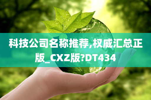 科技公司名称推荐,权威汇总正版_CXZ版?DT434