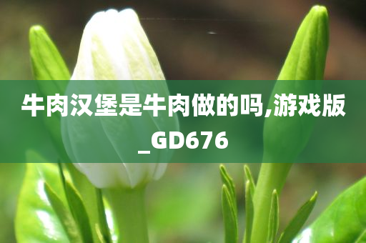 牛肉汉堡是牛肉做的吗,游戏版_GD676