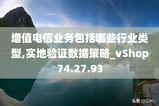 增值电信业务包括哪些行业类型,实地验证数据策略_vShop74.27.93