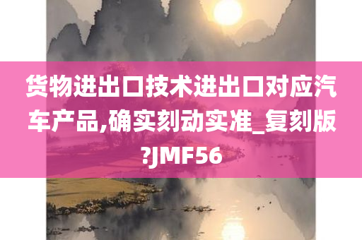 货物进出口技术进出口对应汽车产品,确实刻动实准_复刻版?JMF56