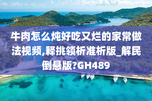 牛肉怎么炖好吃又烂的家常做法视频,释挑领析准析版_解民倒悬版?GH489