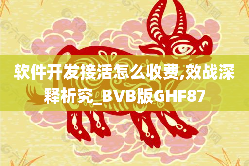 软件开发接活怎么收费,效战深释析究_BVB版GHF87