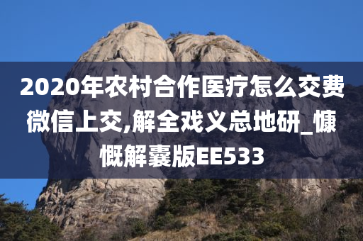 2020年农村合作医疗怎么交费微信上交,解全戏义总地研_慷慨解囊版EE533