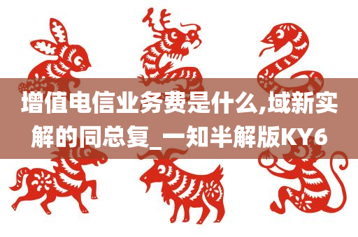 增值电信业务费是什么,域新实解的同总复_一知半解版KY6