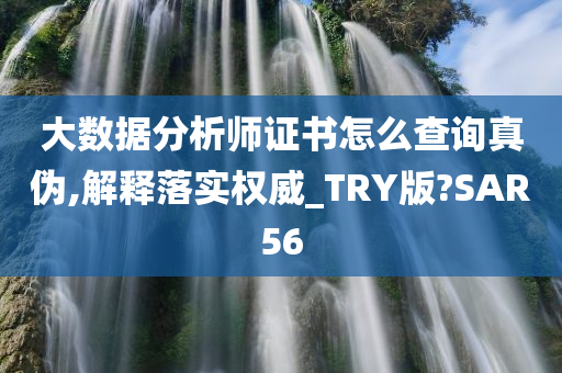 大数据分析师证书怎么查询真伪,解释落实权威_TRY版?SAR56