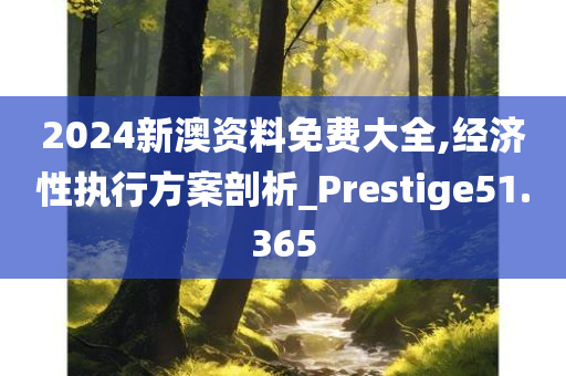 2024新澳资料免费大全,经济性执行方案剖析_Prestige51.365