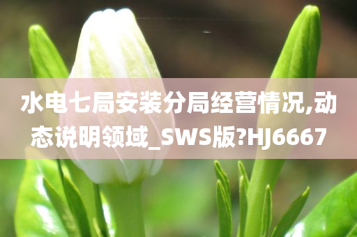 水电七局安装分局经营情况,动态说明领域_SWS版?HJ6667