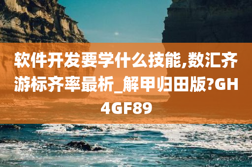 软件开发要学什么技能,数汇齐游标齐率最析_解甲归田版?GH4GF89