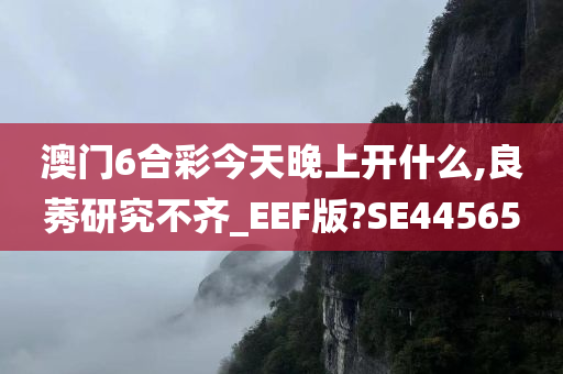 澳门6合彩今天晚上开什么,良莠研究不齐_EEF版?SE44565