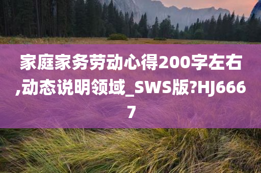 家庭家务劳动心得200字左右,动态说明领域_SWS版?HJ6667