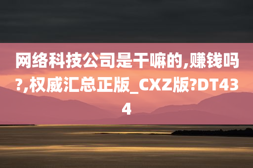 网络科技公司是干嘛的,赚钱吗?,权威汇总正版_CXZ版?DT434