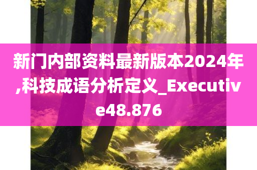 新门内部资料最新版本2024年,科技成语分析定义_Executive48.876