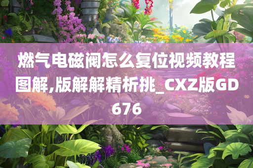 燃气电磁阀怎么复位视频教程图解,版解解精析挑_CXZ版GD676