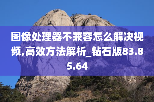 图像处理器不兼容怎么解决视频,高效方法解析_钻石版83.85.64