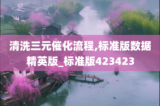 清洗三元催化流程,标准版数据精英版_标准版423423