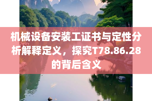 机械设备安装工证书与定性分析解释定义，探究T78.86.28的背后含义