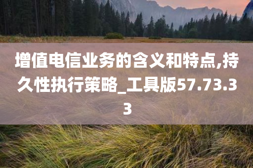 增值电信业务的含义和特点,持久性执行策略_工具版57.73.33