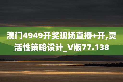 澳门4949开奖现场直播+开,灵活性策略设计_V版77.138