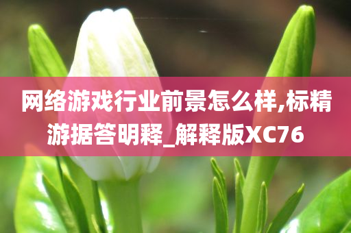 网络游戏行业前景怎么样,标精游据答明释_解释版XC76