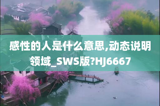 感性的人是什么意思,动态说明领域_SWS版?HJ6667