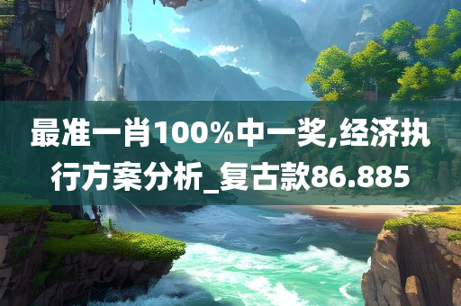 最准一肖100%中一奖,经济执行方案分析_复古款86.885