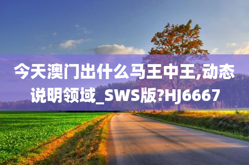 今天澳门出什么马王中王,动态说明领域_SWS版?HJ6667