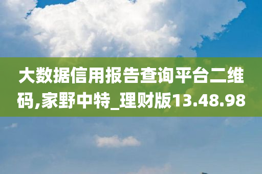 大数据信用报告查询平台二维码,家野中特_理财版13.48.98