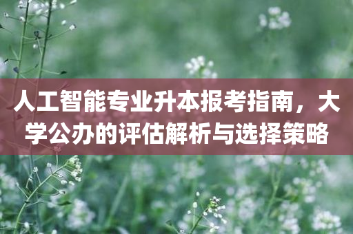 人工智能专业升本报考指南，大学公办的评估解析与选择策略