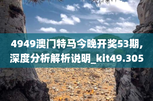 4949澳门特马今晚开奖53期,深度分析解析说明_kit49.305